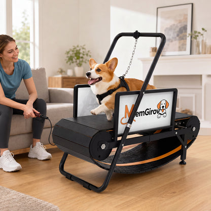 Corgi jumping onto the MlemGirove Small Dog Slatmill in a living room while its owner sits on the couch holding the leash