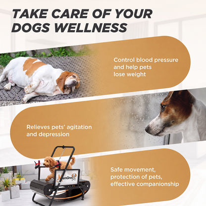 Marketing graphic on pet wellness benefits of exercise, with a small dog on the MlemGirove Small Dog Slatmill