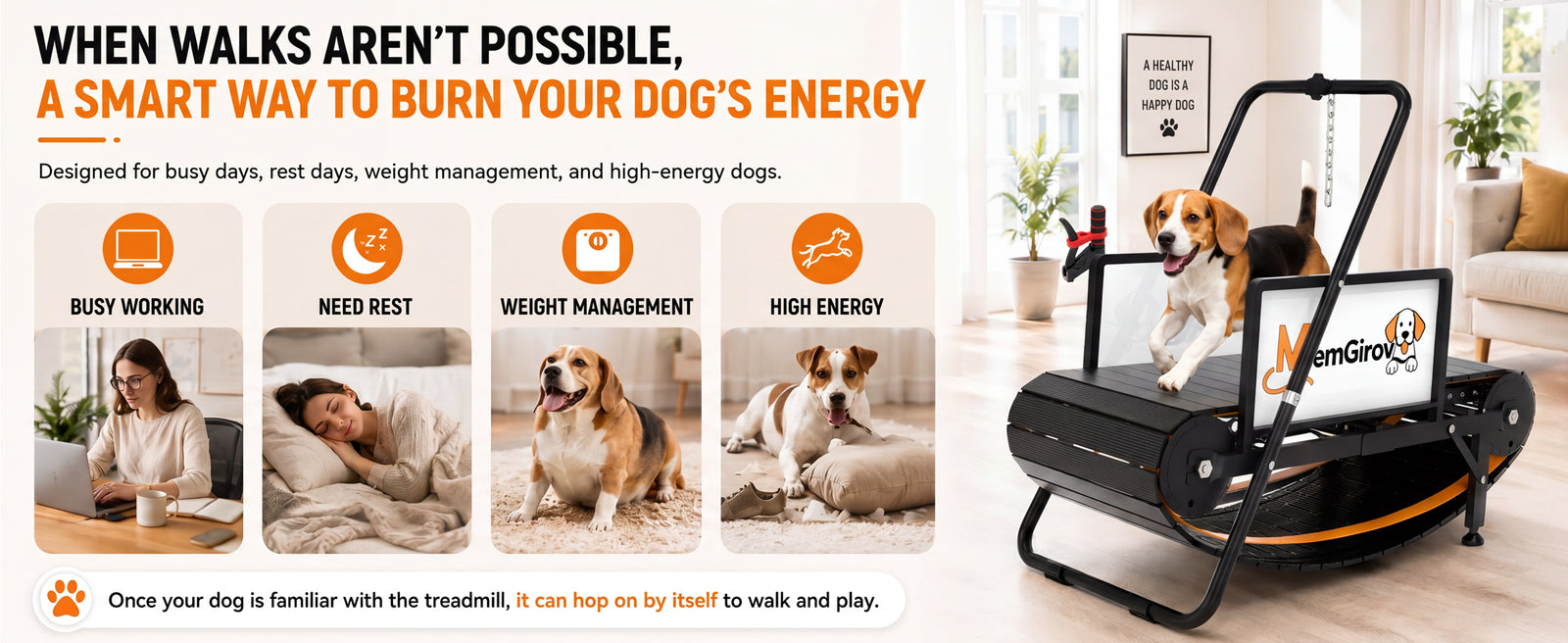 When walks aren't possible, a smart way to burn your dog's energy — designed for busy days, rest days, weight management and high-energy dogs