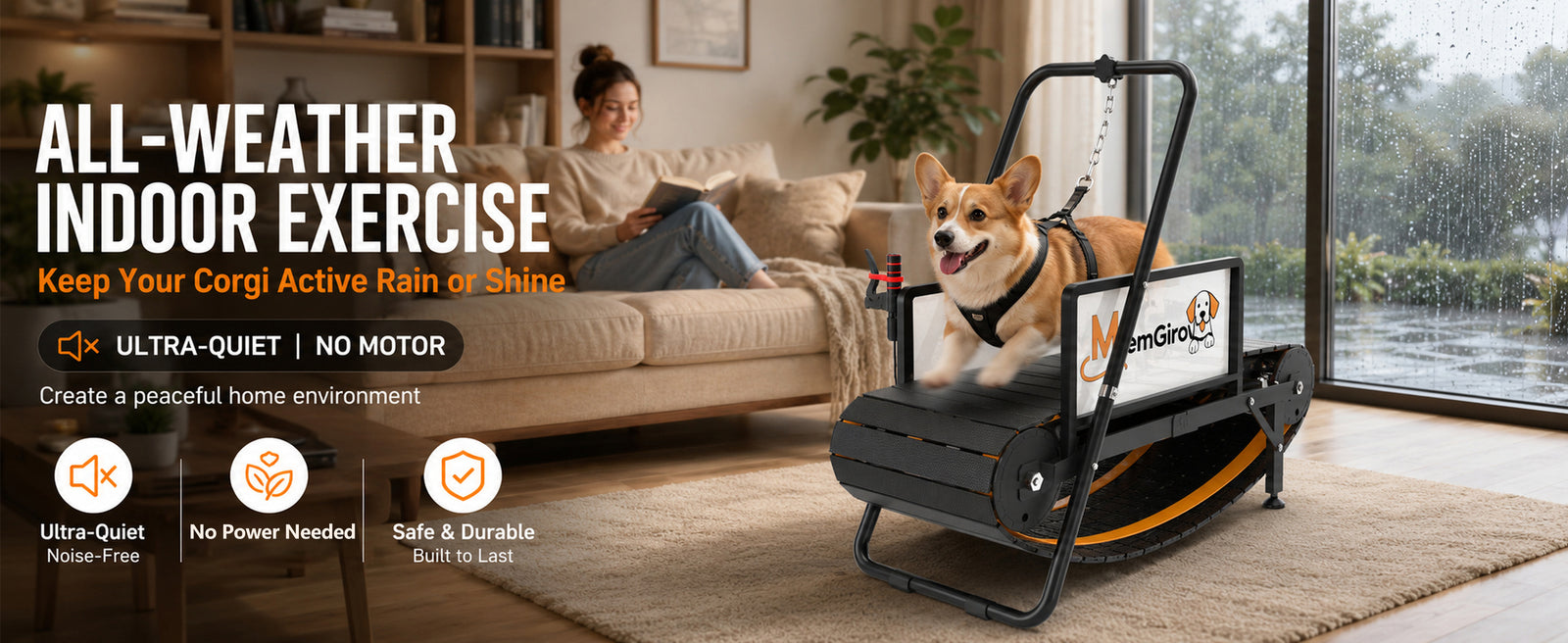 Small dog using an indoor Slatmill when weather limits a normal walk