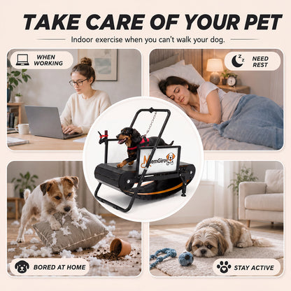 Collage of indoor exercise use cases for busy or resting owners, with a small dog on the MlemGirove Small Dog Slatmill