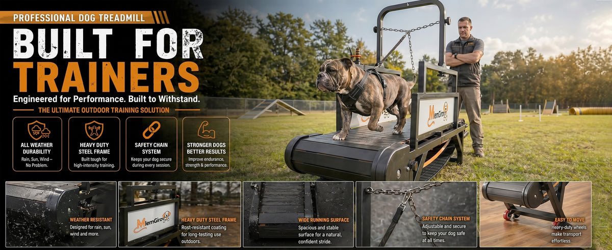 Professional dog treadmill built for trainers — engineered for performance
