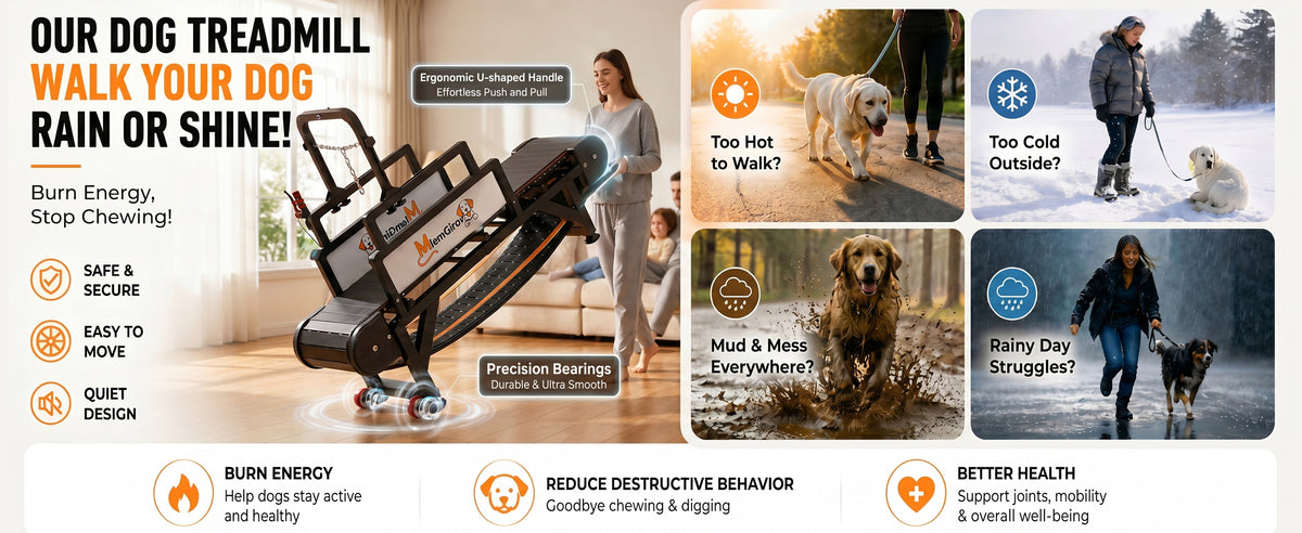 Indoor exercise option when outdoor conditions limit a normal walk