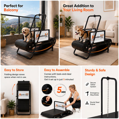 Collage of small dogs using the MlemGirove Small Dog Slatmill on a balcony and in a living room, plus fold-to-store and quick-assembly details