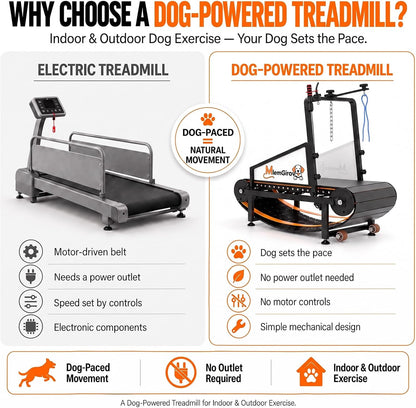 Comparison of an electric treadmill and the MlemGirove dog-powered slatmill: your dog sets the pace, no outlet, no motor