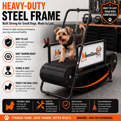 Yorkshire Terrier on the MlemGirove Small Dog Slatmill, highlighting its heavy-duty steel frame built for small breeds