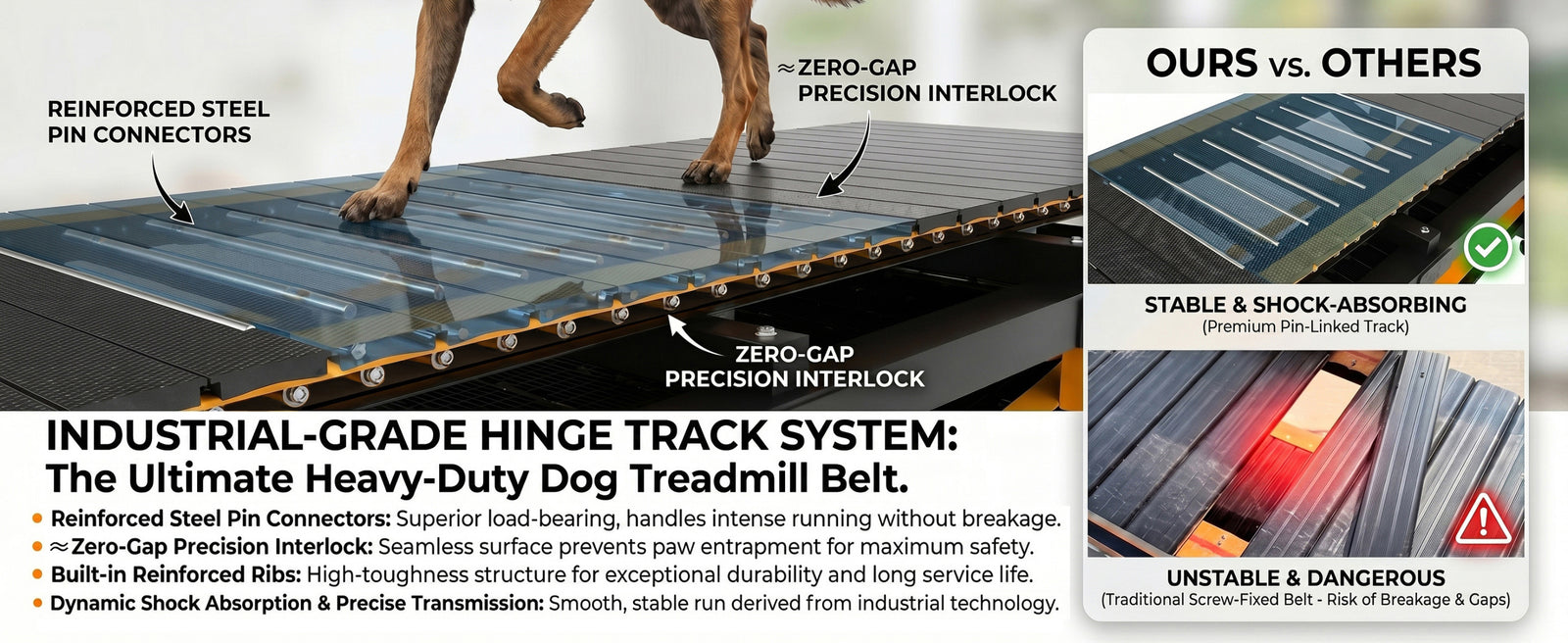 Owner supervising a dog during dog-powered treadmill exercise