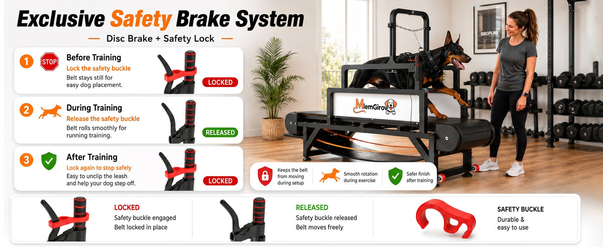 Exclusive safety brake system — disc brake and safety lock